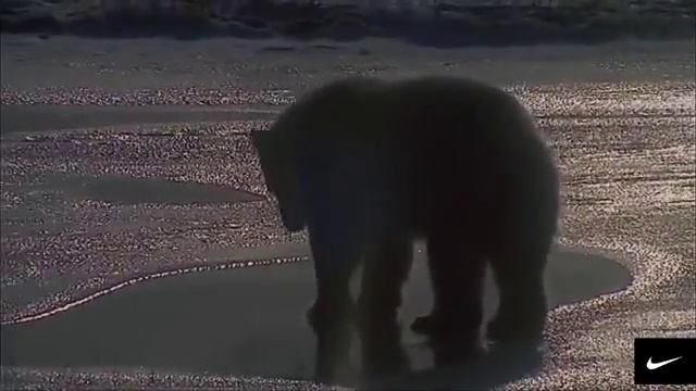 Красивая природа, красивая музыка. смотреть онлайн