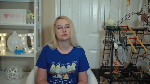 НАКРЫВАТЬ КЛЕТКУ ПОПУГАЯ НА НОЧЬ ИЛИ НЕТ? | ЗАЧЕМ НАКРЫВАТЬ КЛЕТКУ С ПОПУГАЕМ НА НОЧЬ