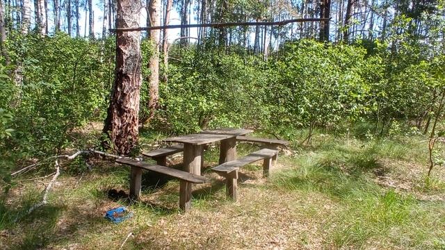 04 июня 2023 (хорошие идеи): отличное место для пикника в лесу! смотреть онлайн