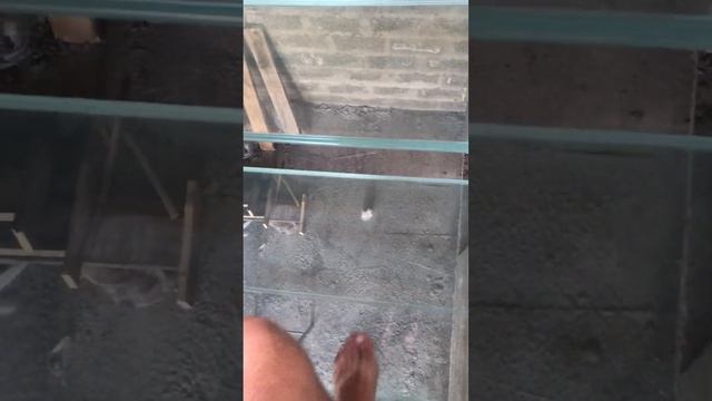 Стеклянные ступени из триплекса собственного монтажа.первый поход смотреть онлайн
