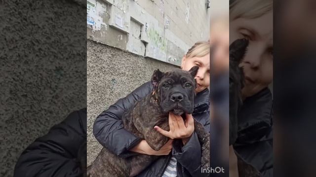 А мы с новой причëской. Тигран ( почти 3 месяца) смотреть онлайн