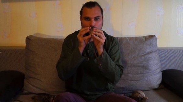 Мелодия народной казачьей песни на окарине.