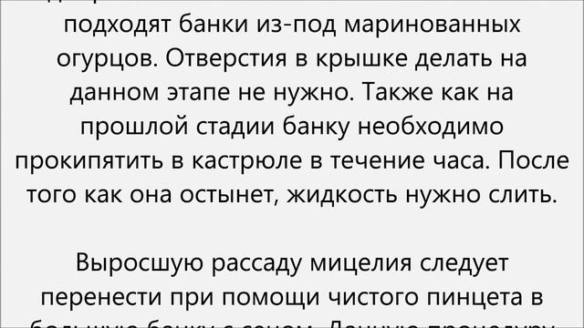 Как вырастить плесень смотреть онлайн