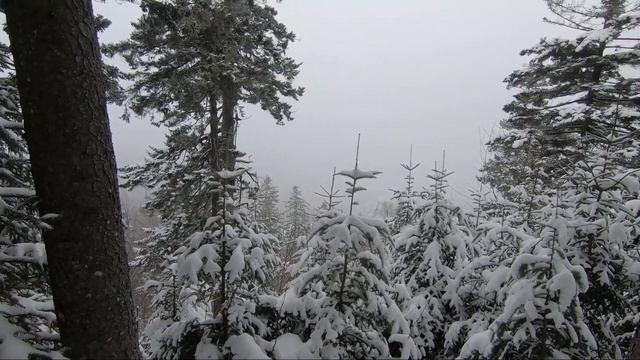 Centre touristique Stoneham смотреть онлайн