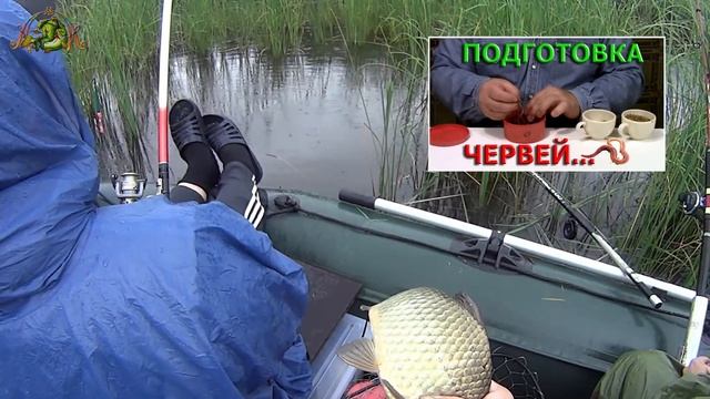 Рыбалка на ПОПЛАВОК. Трофейный КАРАСЬ ! Открытие сезона на поплавок. смотреть онлайн