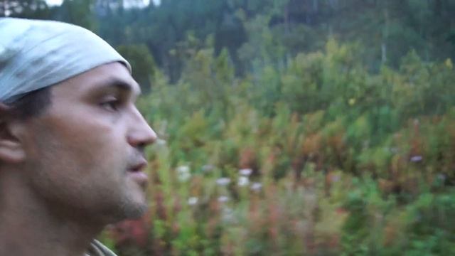 Заготовка Тростника для крыши Видео1 смотреть онлайн