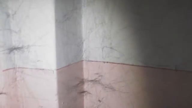 кажется в ЗАБРОШКЕ где нашли труп, живёт огромный паук ( это видео не будет удалено ) смотреть онлайн