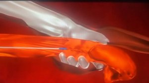 Осеменение коров. Просто о сложном