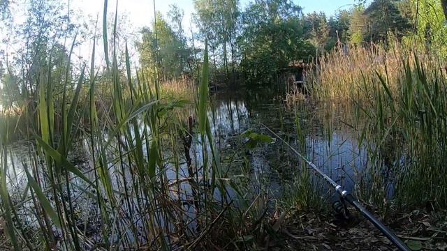 Прямая трансляция с камеры #GoProHero7Black смотреть онлайн