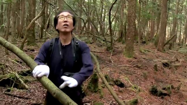 Suicide Forest in Japan (Full Documentary) 1ч смотреть онлайн