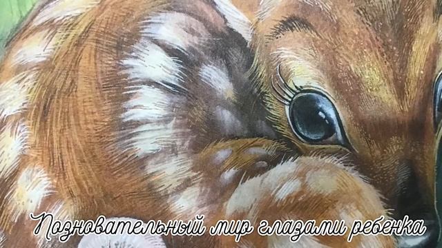 БЕМБИ- Глава 1. Появление на свет ~сказки на ночь~