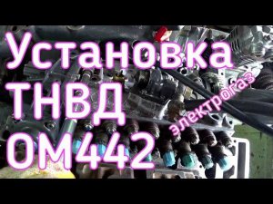 Установка ТНВД ОМ442 электрогаз