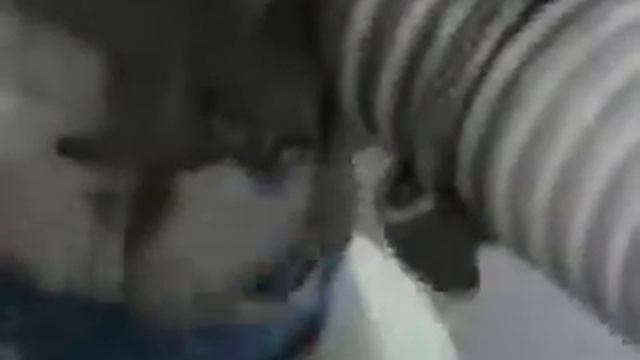 Фасовка двухслойного мороженного в вафельный ражок смотреть онлайн