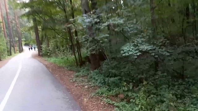 Пешеходы всем мешают. Шоу или пропаганда? Кабачки, огурцы и грибы смотреть онлайн