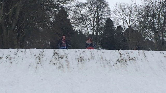Sledging At The Reid Park Forfar смотреть онлайн
