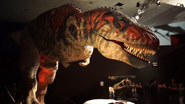 Sony A7r lowlight video sample [720/1080p] смотреть онлайн