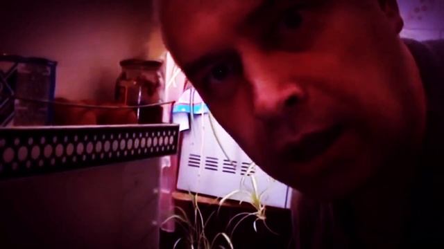 ГЕННАДИЙ ГОРИН "ЧТО ВЫ ДЕЛАЕТЕ В МОЁМ ХОЛОДИЛЬНИКЕ" (ХОРРОР ВЕРСИЯ) смотреть онлайн
