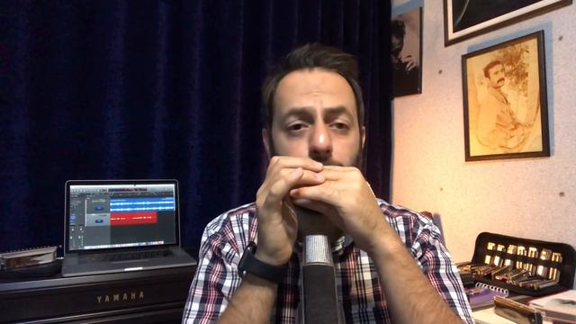 Bach On C Diatonic Harmonica смотреть онлайн