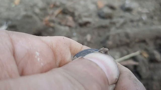 СЕРЕБРО! КОП.2020. смотреть онлайн