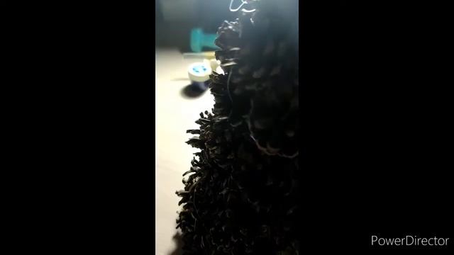 Новогодняя поделка из шишек смотреть онлайн