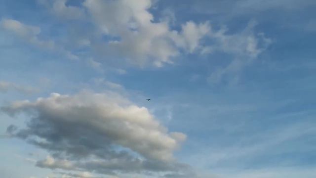 Второй полёт пайпера PA-18. смотреть онлайн