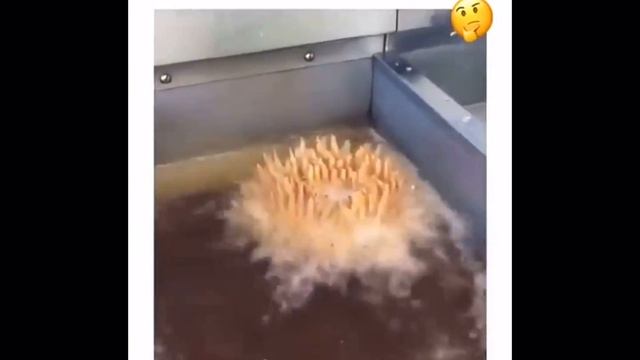 Новый вид картошки фри ??. смотреть онлайн