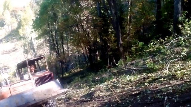 Заготовка леса в Тургусуне. смотреть онлайн