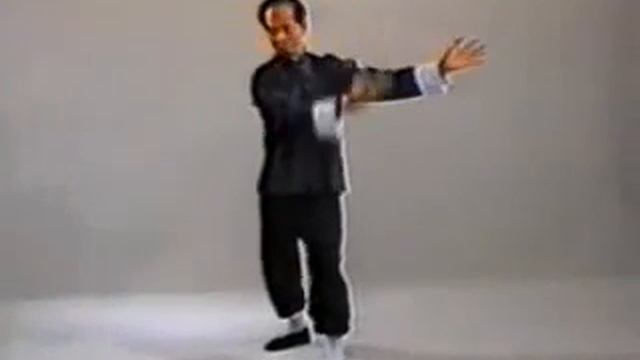 Drunken Style