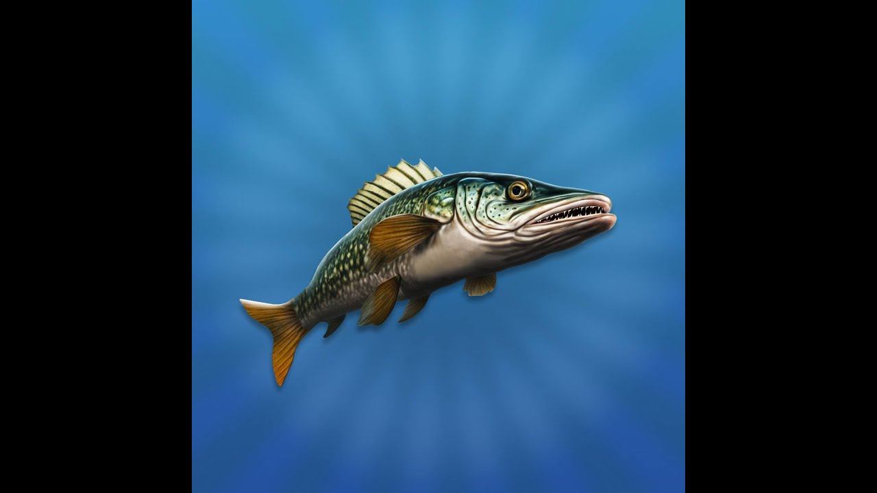 "РЕАЛЬНАЯ РЫБАЛКА 2" | (с) Andromeda Coders смотреть онлайн