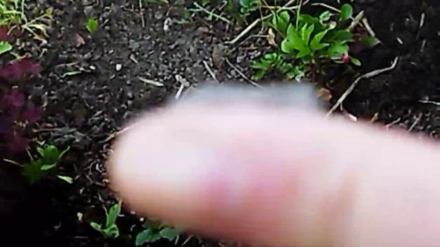 Всем Чудесного субботнего утра, дня и вечера?✨??? смотреть онлайн