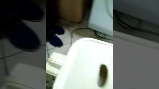 VID 20190213 111215 смотреть онлайн