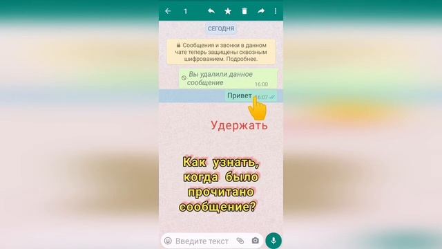 Когда прочитано сообщение в WhatsApp смотреть онлайн