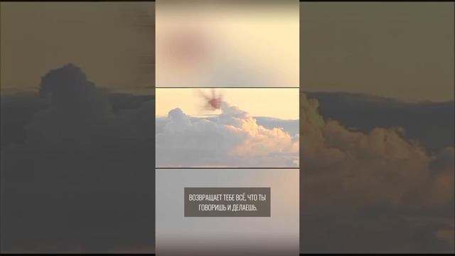 ЭХО и МАЛЬЧИК | притча