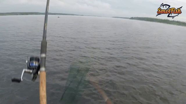 Фидерная ловля. Две ночи. Десногорское водохранилище. Кукуевка. смотреть онлайн