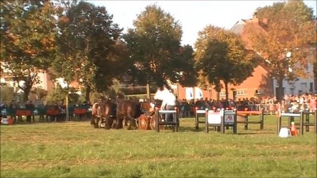 Noel De Beuf - Vollezele - 16102011 - 6span смотреть онлайн
