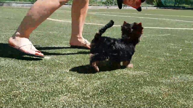 Иветта (без недели 3 месяца) смотреть онлайн