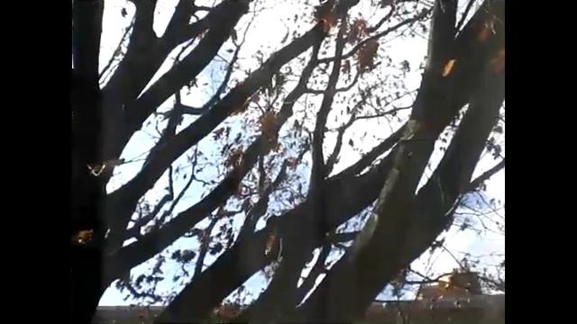 Exquisite Corpse смотреть онлайн