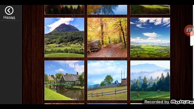 Деревня Дерево Пальма смотреть онлайн