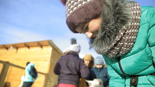 Страусиная ферма контактный зоопарк в пос.Кумысный. смотреть онлайн