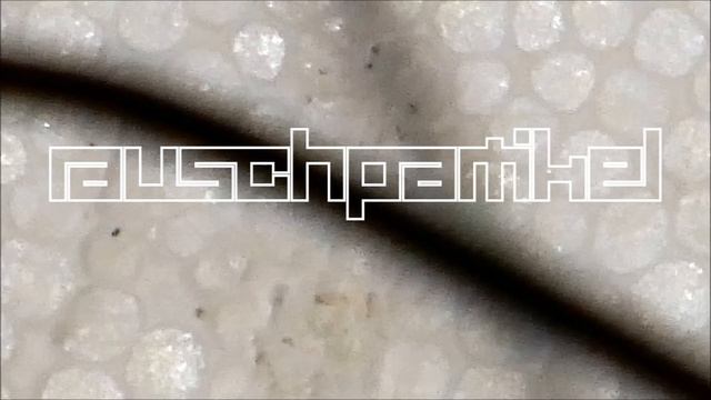 2022-02-18 Das Kleine Regen Rhythmus Orchester (Styroporbox) (02 Akt) смотреть онлайн