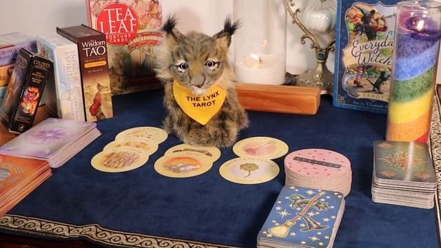 ??WINDS OF CHANGE FOR THE BETTER!???DAILY INSPIRATION TAROT & ORACLE MESSAGES смотреть онлайн