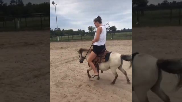 Seized a pony with kid's stirrups _) смотреть онлайн