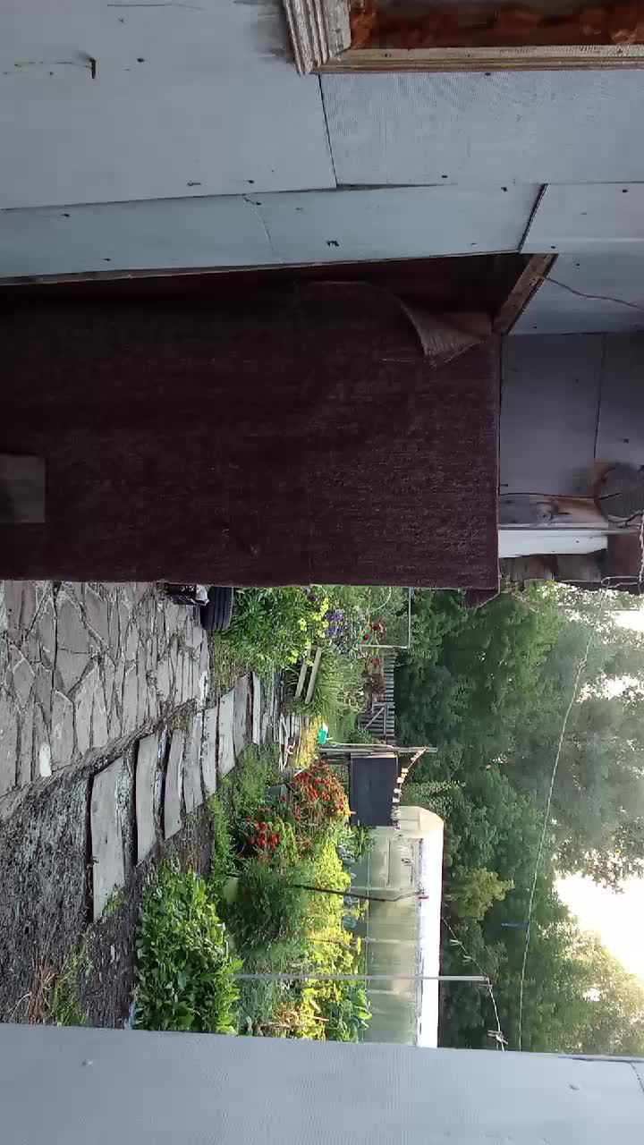 ра смотреть онлайн