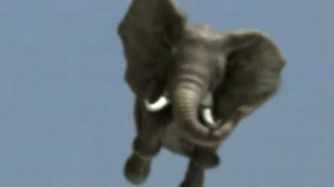 Реально ЛЕТАЮЩИЙ слон! смотреть онлайн