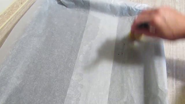 Животные в Зоопарках