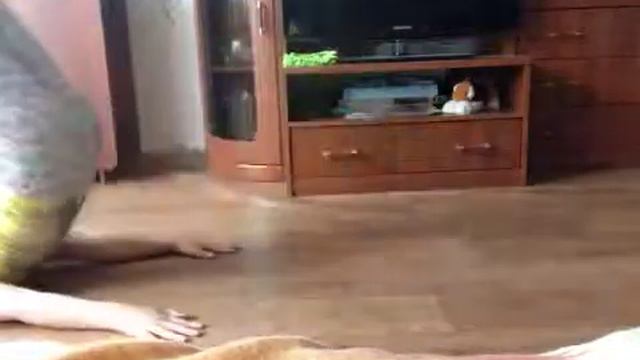 Танец цветы смотреть онлайн
