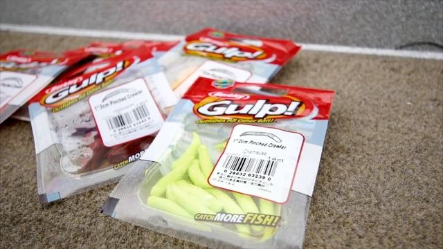 Berkley Gulp On Flicker Minnow: Pro Fishing Tips And Tricks