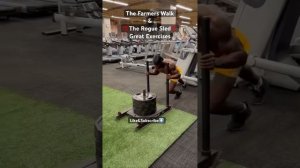 Rogue Sled & Farmer's Walk=Bigger Forearms, Traps, Helps Posture, Core & Scoliosis!