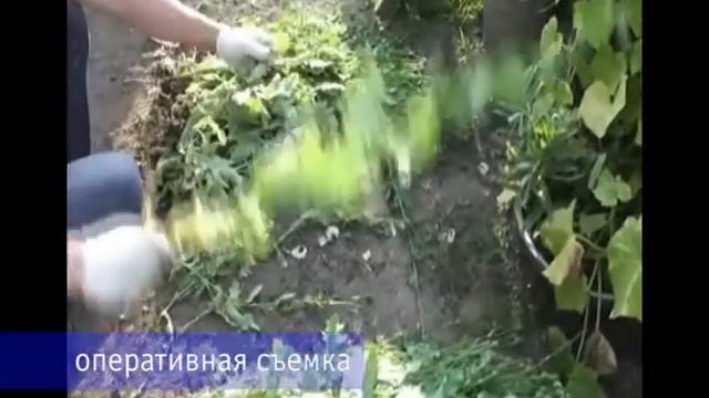 Оперативная съемка УФСБ по Ивановской области смотреть онлайн