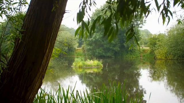 Terrapins on Countryfile (2020) смотреть онлайн